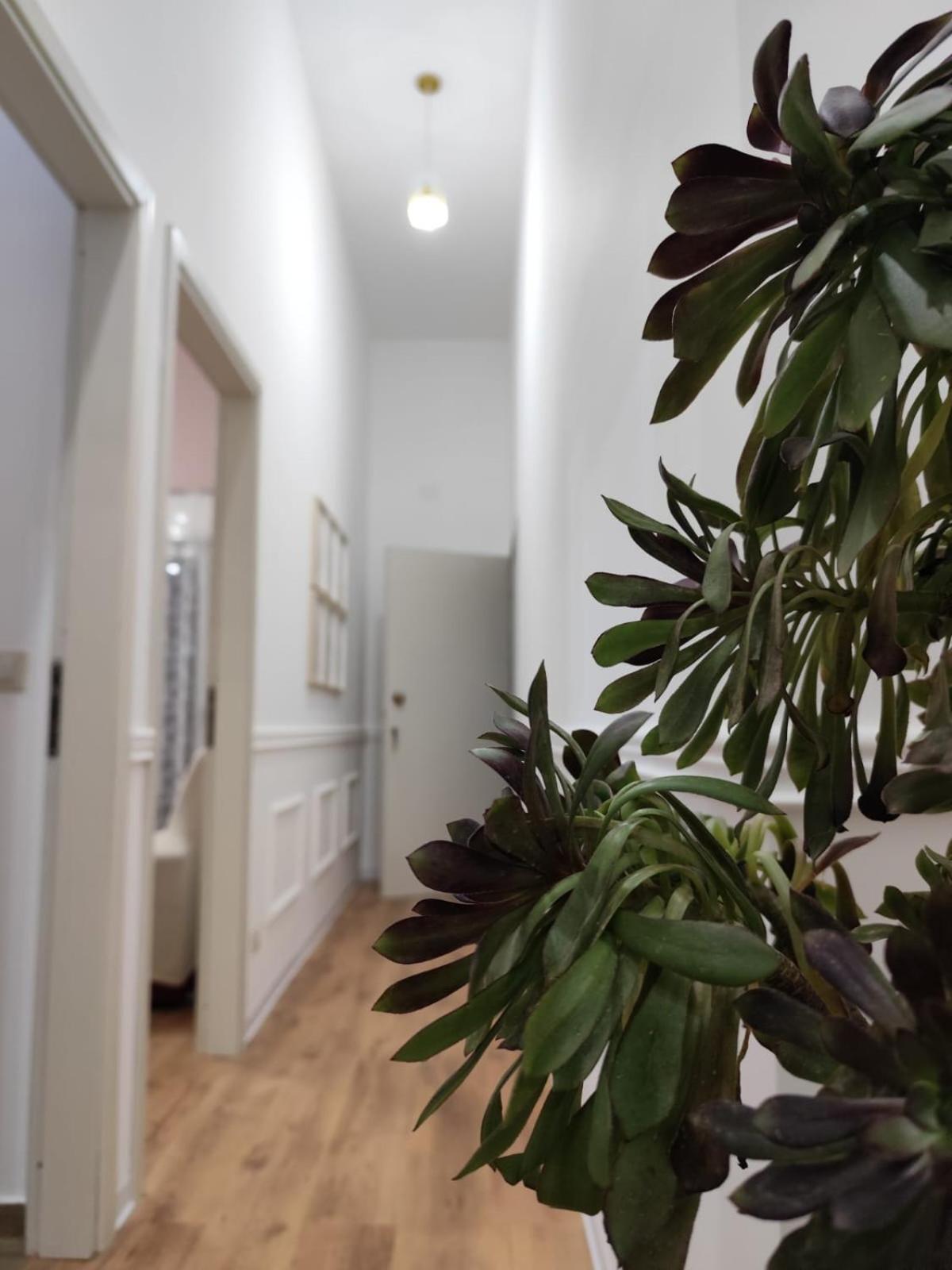 Casa Belvedere アグリジェント エクステリア 写真